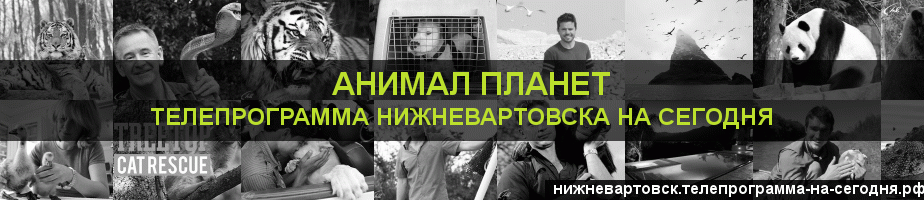 Телепрограмма на сегодня канала Анимал Планет, Нижневартовск